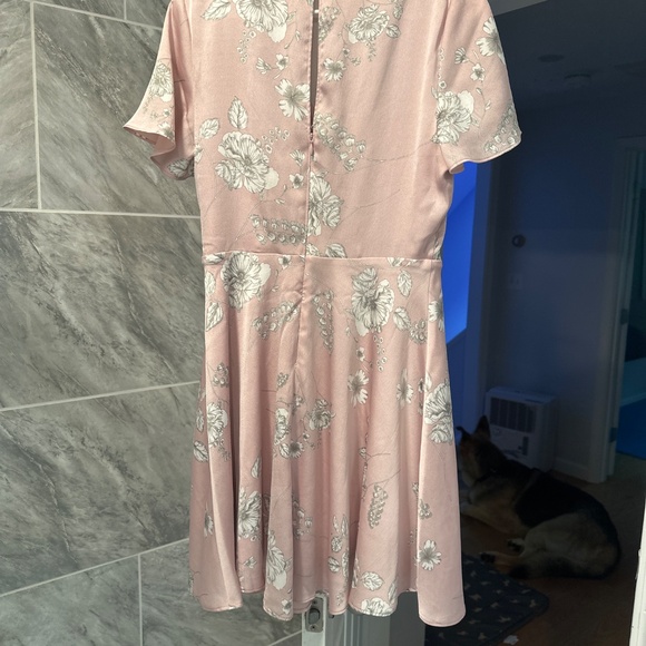 Express Dress - Picture 3 of 6